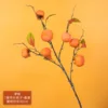 Persimmon branch with 7 fruits - orange-yellow - with leaves