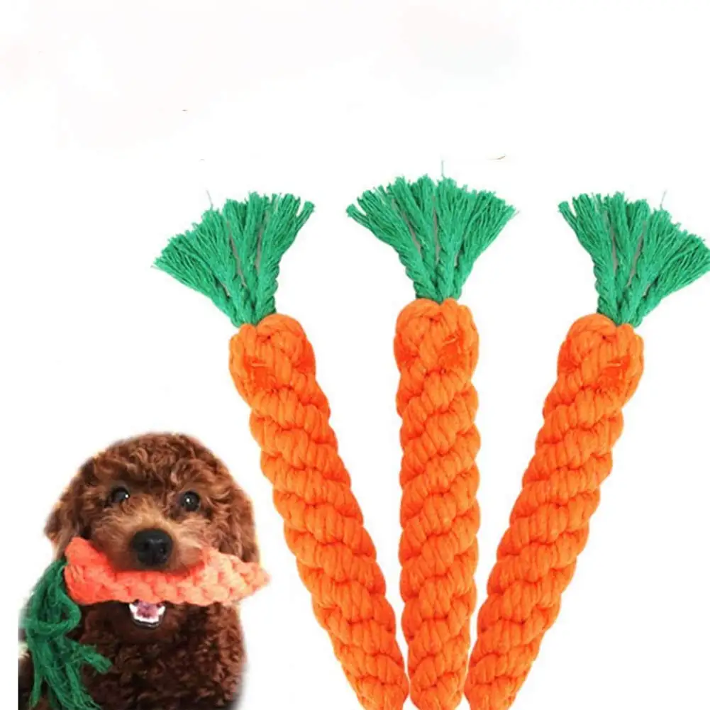 Do Carrots Clean Dogs Teeth
