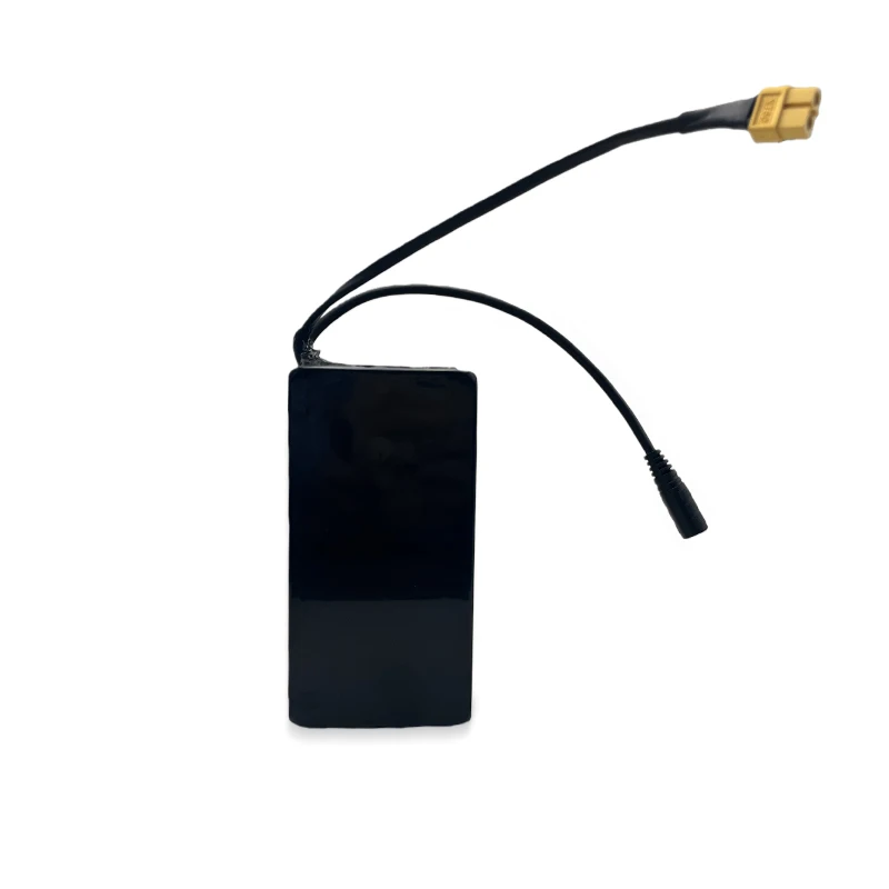 Customized 11.1V 18200Ah 18650 3S7P Lithium Battery Pack for High-Energy Applications with Built-In Protection Hdceb45af673345cf82fc003dcf66c4e1x