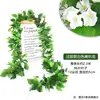 White morning glory
