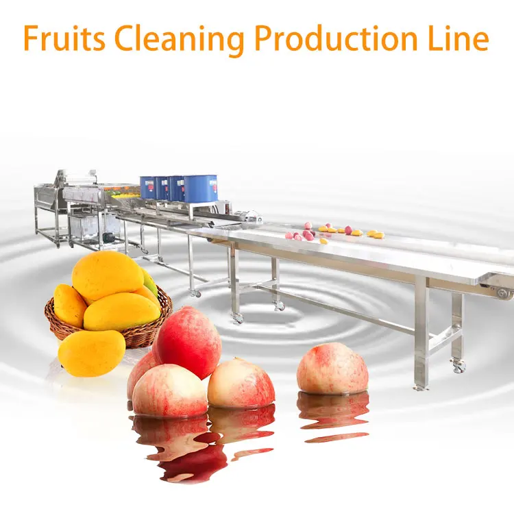 Fruits Export Company Jamun Washing and Dry Processing Line