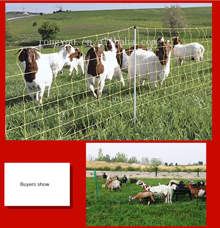 Electric Animal Fence For Sheep Netting Chicken Netting /plastic