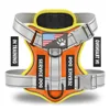 Orange/yellow