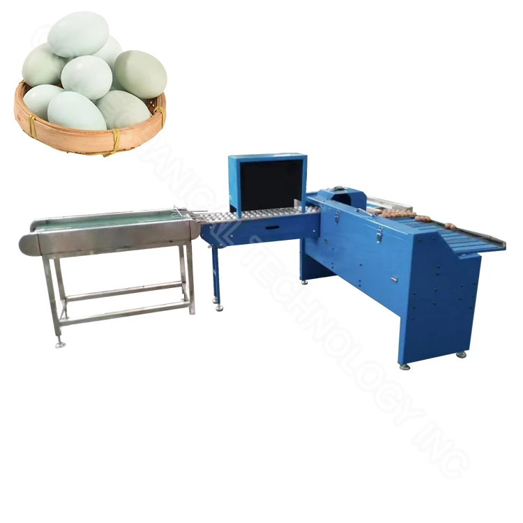 Egg Sorting Grading Machine Machine for Sorting Eggs Egg Grading Machine Price