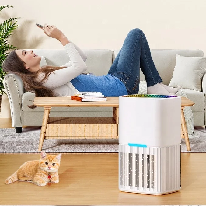 多機能タッチコントロールパネル付きコンパクト電動除湿器 取り外し可能な水タンク お手入れ簡単 理想的 2