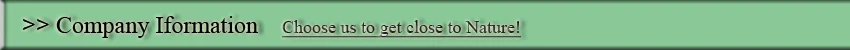 Company Information