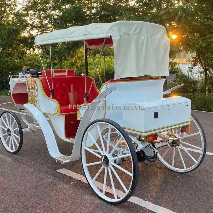 Newest Wedding And Sightseeing Horse Drawn Carriage And Electric Horse ...