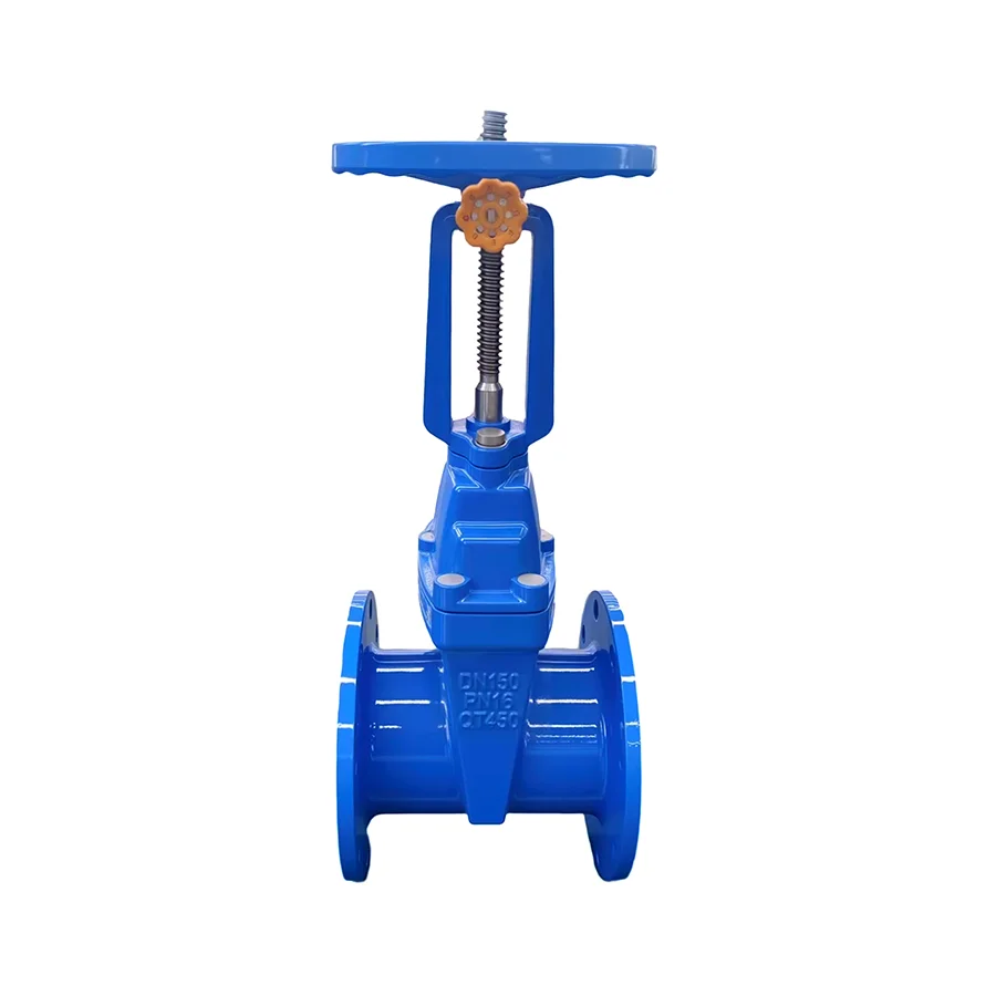 Industrial Water Supply Gate Valve Manual PN10/PN16 Flange Connection Lockable Rising Stem Custom Options | Drinking Water
