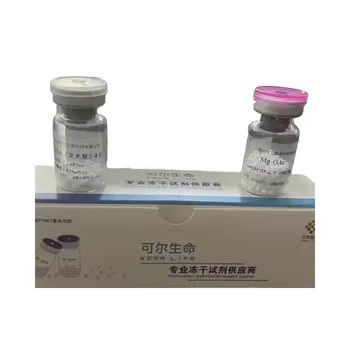 UltraS APT DNA Polymerase for Rapid Test High Efficiency Polymer Product