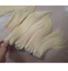 Light Color