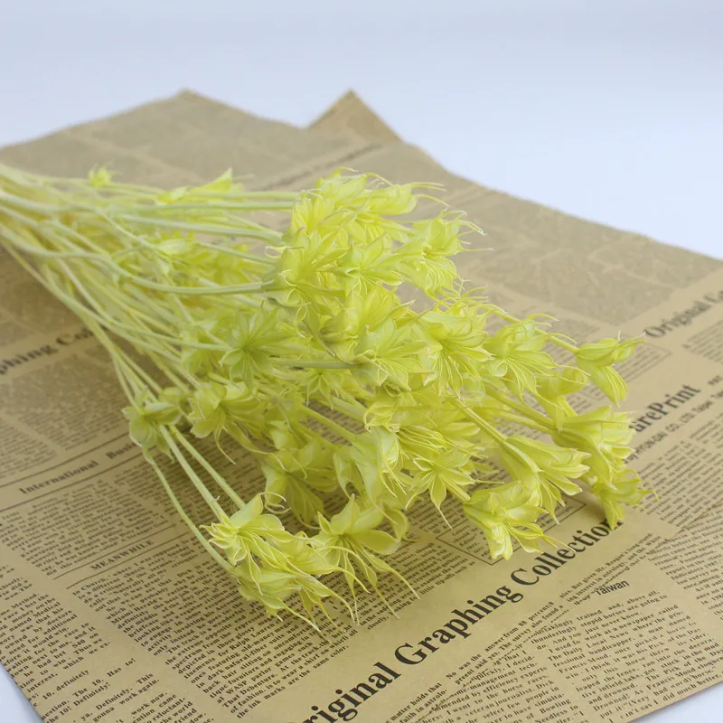 Modern Design Dried Flower Dried Nigella Orientalis For Festival ...