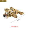Leopardo