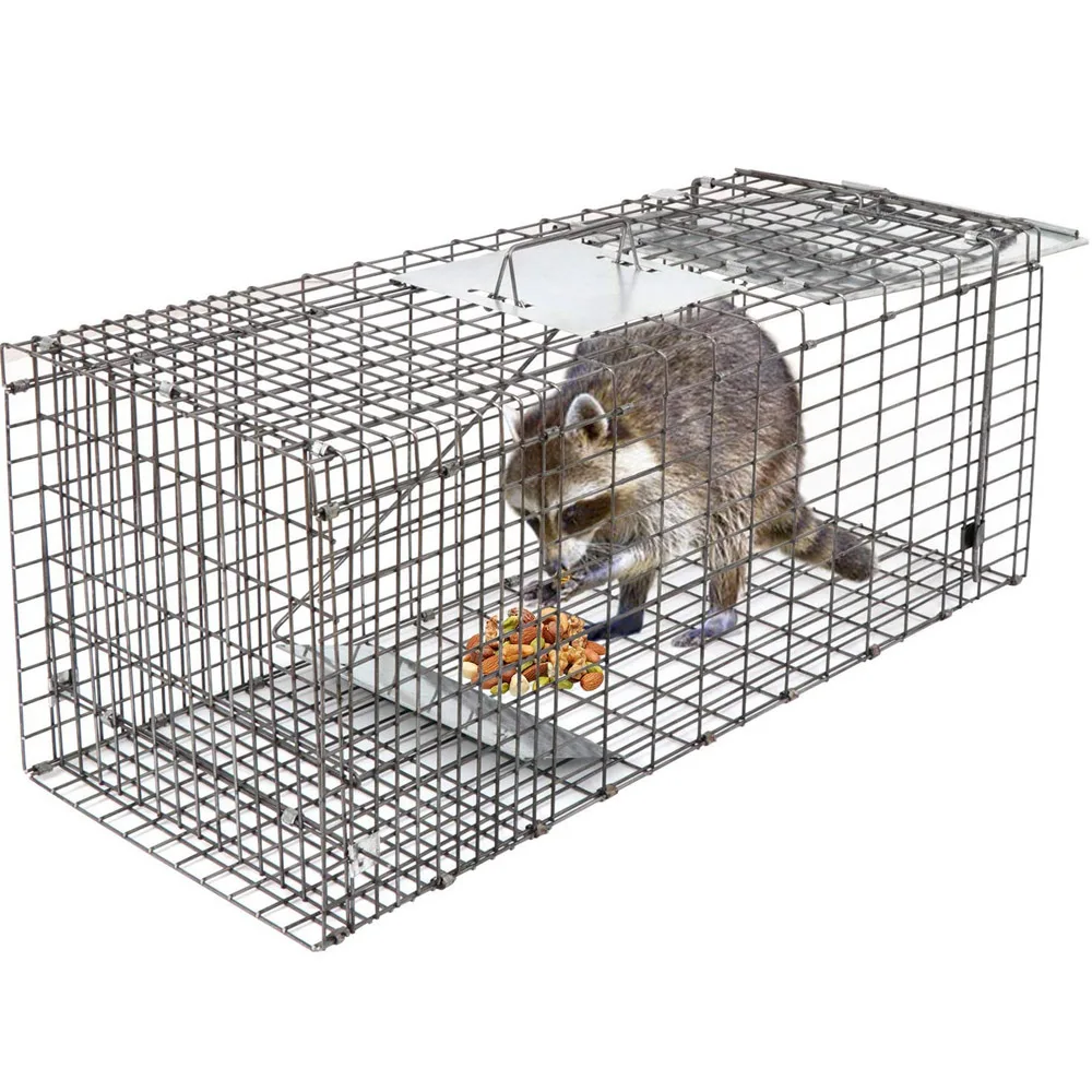 Trampa de jaula de animales vivos, trampa para gatos de hierro galvanizado  de 24 x 8 x 8 pulgadas, trampa plegable para animales con mango para