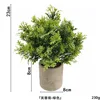 Hibiscus chrysanthemum powder-free ahe367-067