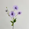 Pourpre