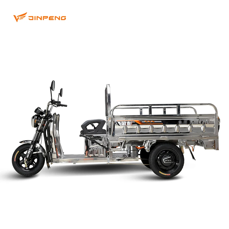 2024 Cheap E-Trikes 3 Wheel Cargo Electric Tricycles Motorcycle Three Wheel Adult