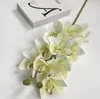 Bianco Verde