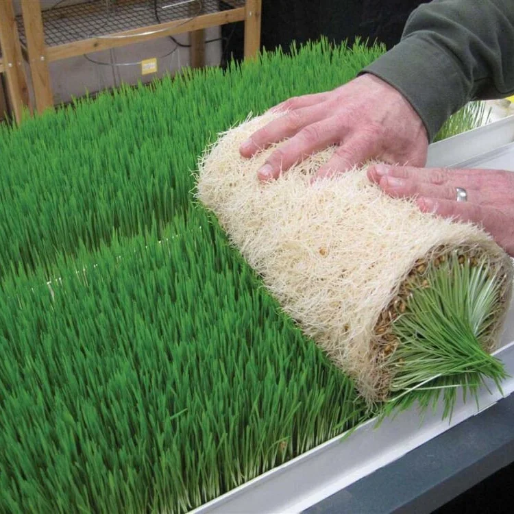fodder system