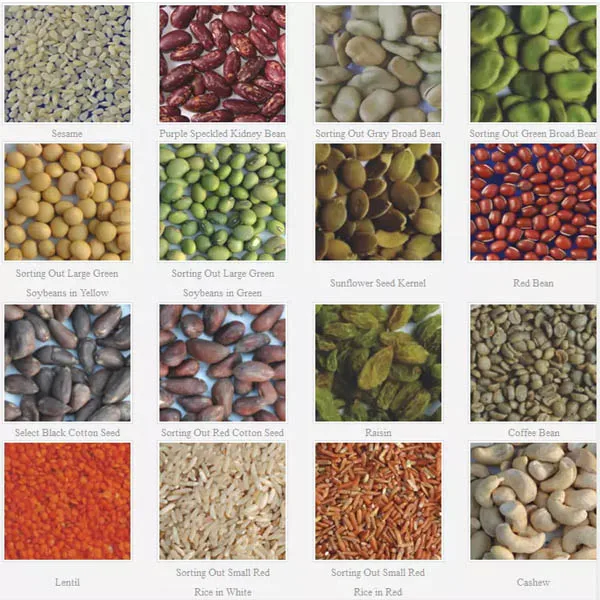 KM Series Sorting Machine High Quality Nuts Color Sorter