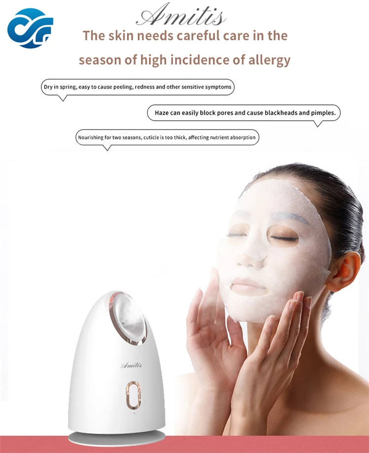 Facial Steamer