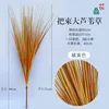 A bundle of large, orange-yellow reeds