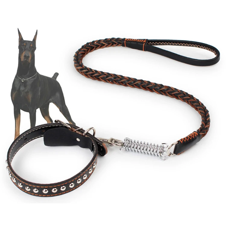 custom designer dog collars