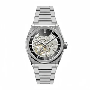 ODM Custom Logo Luxury Business Men Silver Mechanical Watches Skeleton Automatic Watch with Seiko NH70