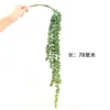 String of pearls (green, large branches)