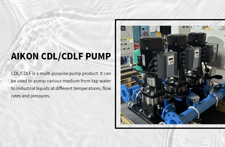 Constant Pressure Water Pump Cnc Three Phase Vertical Multistage Pump High Life Vertical Multi Stage Pump