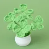 Bean Green-Four-Leaf Clover pot (white pot)
