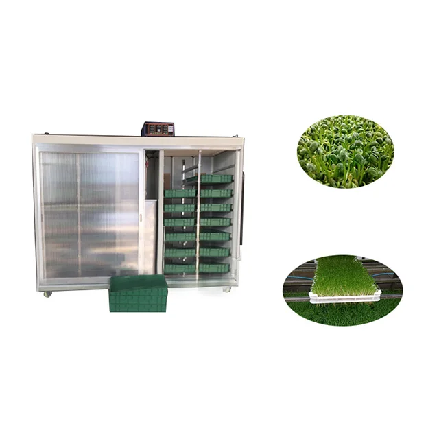 Automatic Bean Sprout Growing Machine - Efficient & Reliable
