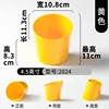 2024 Yellow