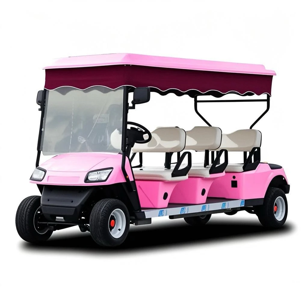 Fábrica Parison Carrinho de Golfe Elétrico 6 Lugares Veículo Utilitário Elétrico Rosa 2025SDZX12PTPR148