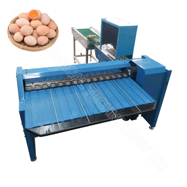 Eggs Quail Sorting Egg Sorting Grading Machine Egg Washing Grading And ...