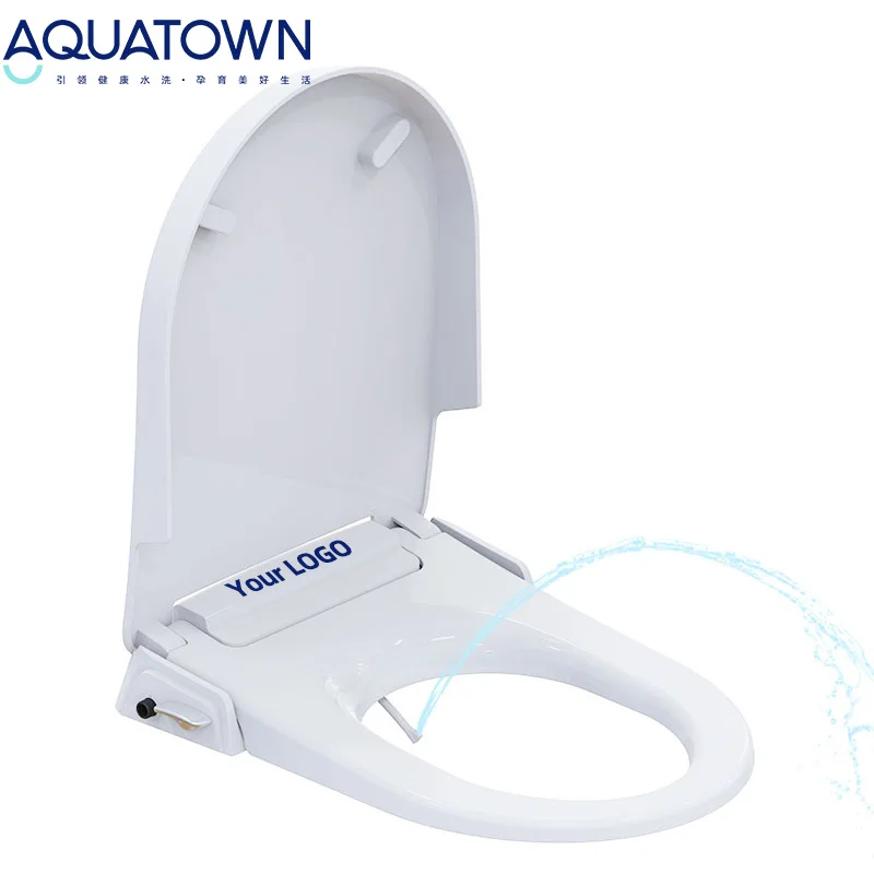 Custom D Type Non Electric Bidet Toilet Seat Cover Cold Water Toilet Lid New Design Luxury Dual Nozzle Bidet Seat