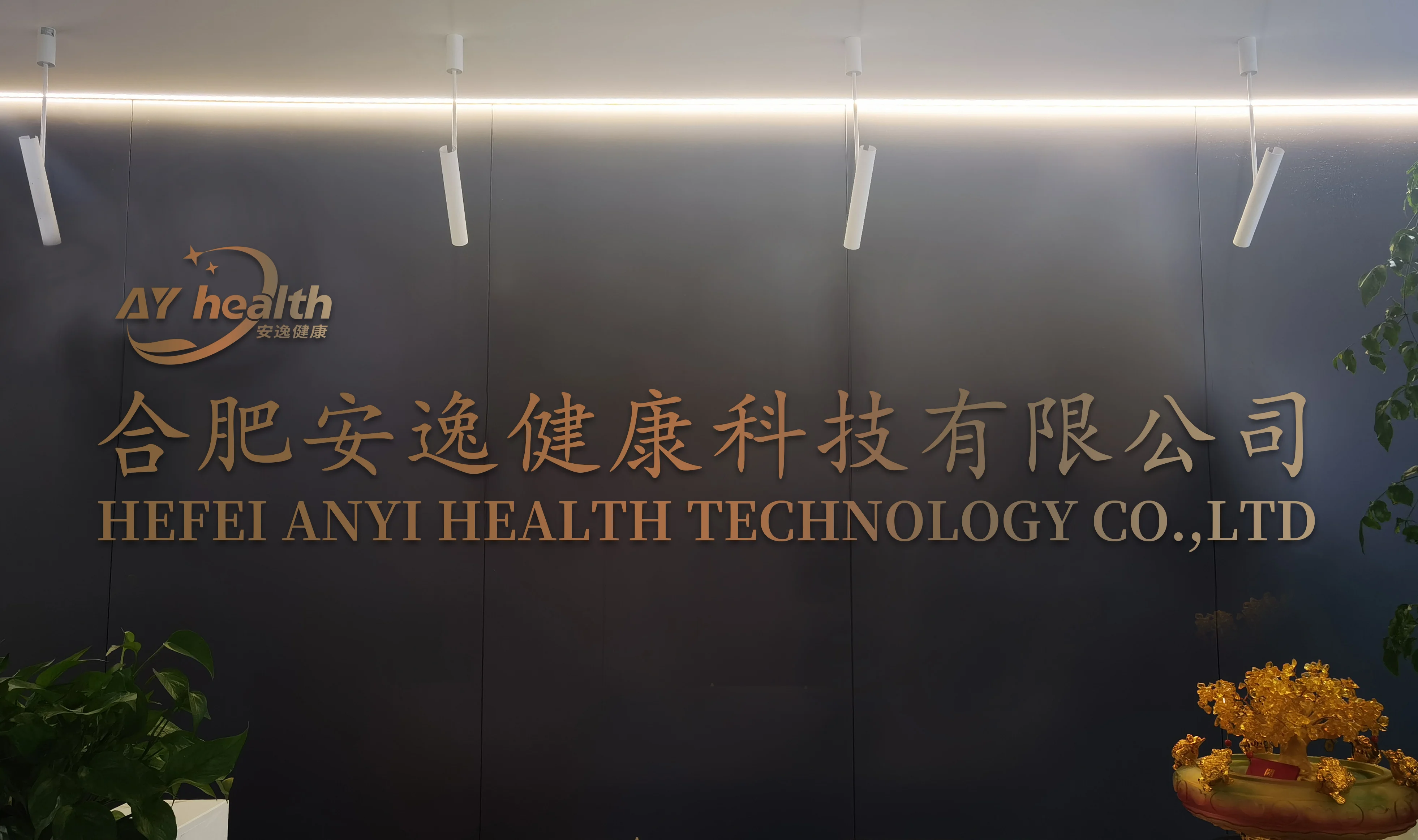 Hefei Anyi Health Technology Co., Ltd.