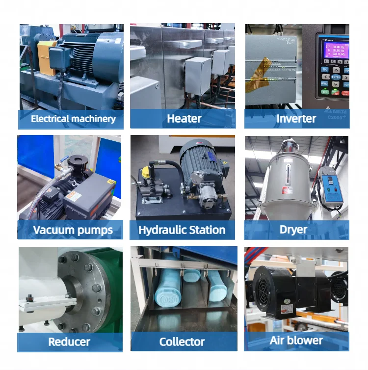 Biodegradable Food Packaging Container Manufacturing Machine