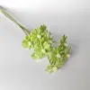 Verde 10 pcs/bundle