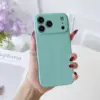 mint