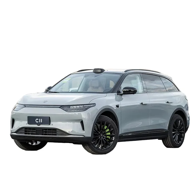 2024 Luxury Electric SUV 580km Range Automatic Gearbox Single Drive Motor RWD Leather Seats Multi-Function R19 LEAPMOTOR C11