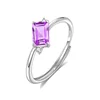 JH0168-1Amethyst