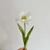 Un tulipán blanco en flor