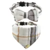 Nœud papillon + foulard triangulaire - 1