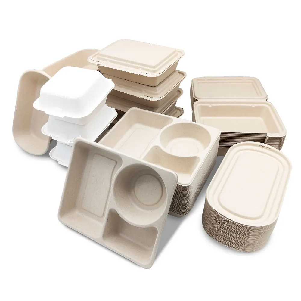 Paper Plate Storage Container | bet.yonsei.ac.kr