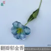 ทิวลิปกลีบคู่ XGX สีเขียวเข้ม