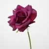 violet rosé