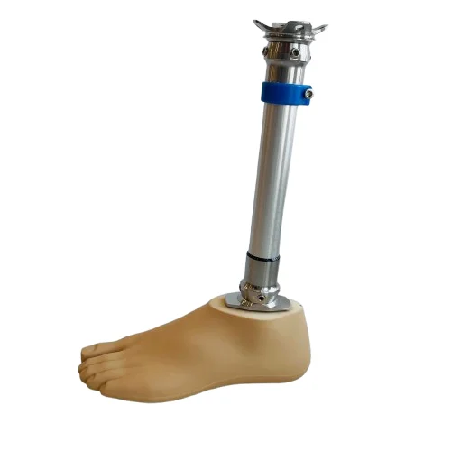 Artificial Lower Limb Prosthesis, Sach Foot Prosthetic for Amputation, Prostheses Legs