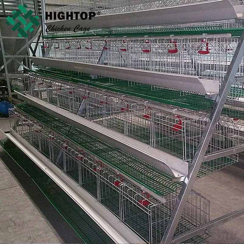 Affordable a Type Hens Coops 4 Tiers Layer Chicken Cages for Commercial Poultry Farm