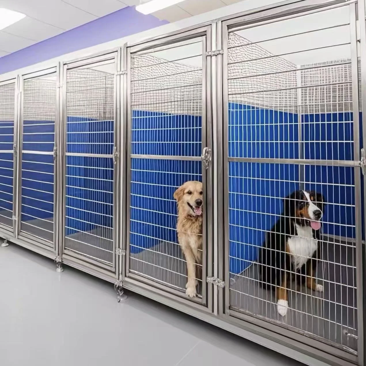 Veterinary Stainless Steel Gate extreme Kennel Rod Door Animal Dog Kennel and Runs Dog Boarding Kennel Gate