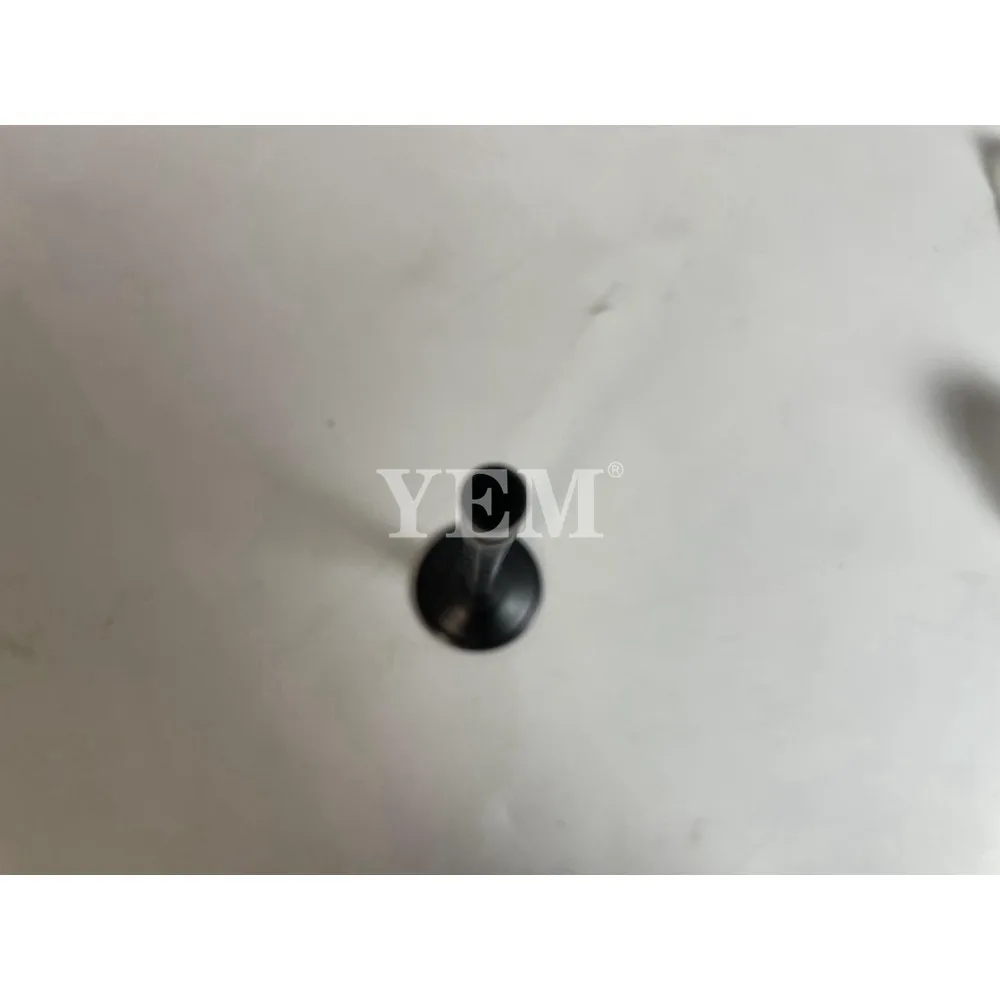 C6.4 Inlet Valves Kit for Caterpillar